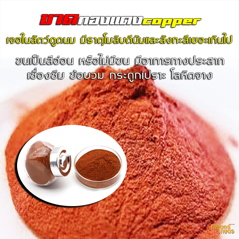 มินเนอร์99 "Minner99" แร่ธาตุจำเป็นสำหรับสัตว์